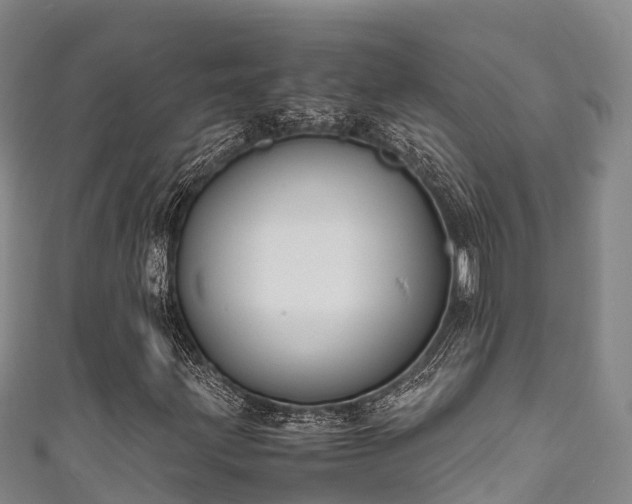 X0000111601203200907231228