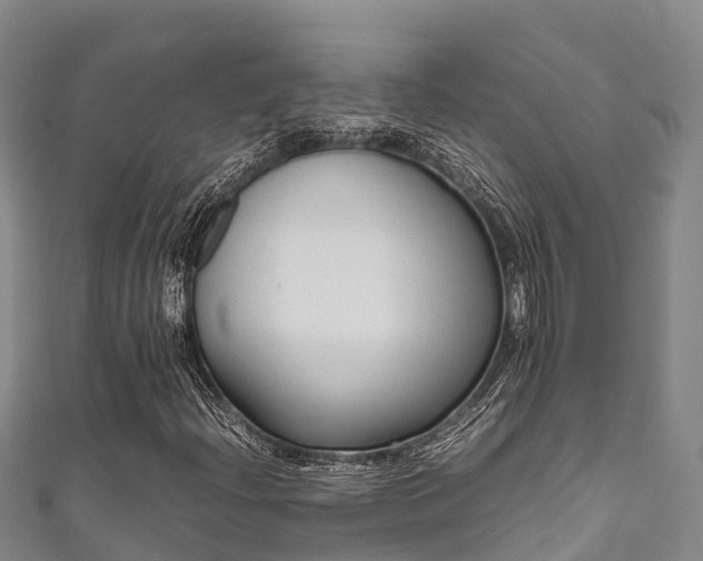 X0000111601204200907231228
