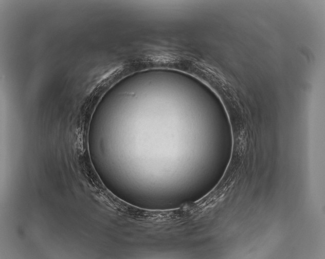 X0000111601205200907231228
