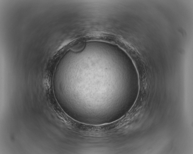 X0000111601206200907231228