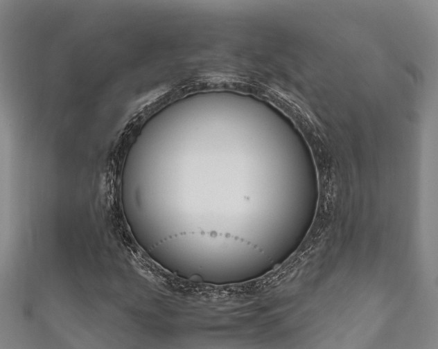 X0000111601207200907231228