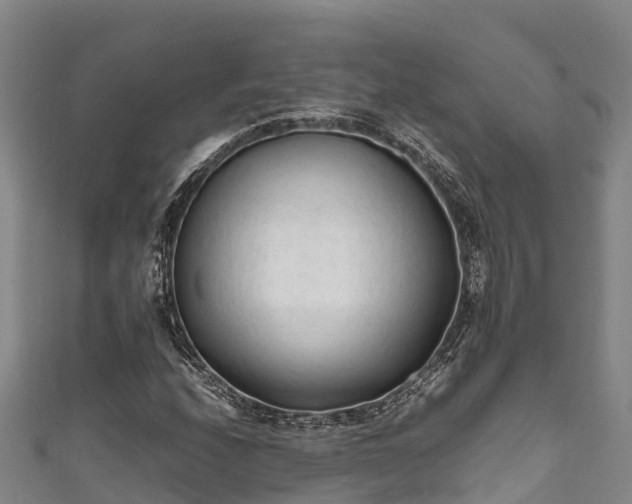 X0000111601208200907231228