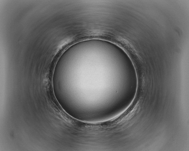 X0000111601210200907231228