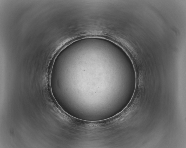 X0000111601212200907231228