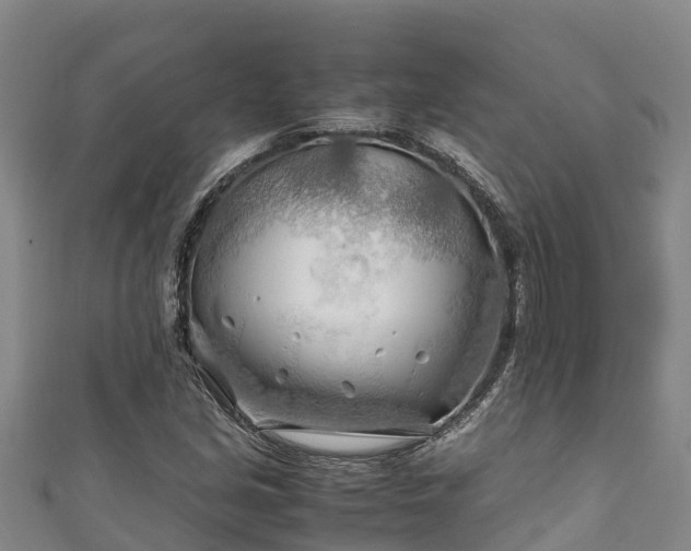 X0000111601213200907231228