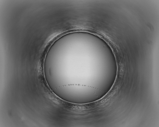 X0000111601215200907231228