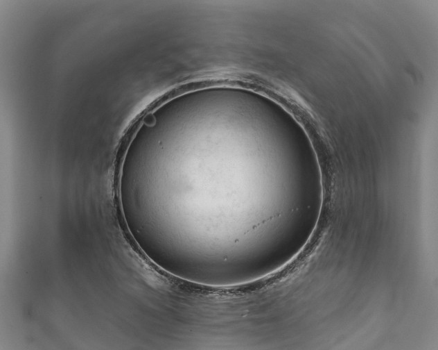 X0000111601216200907231228