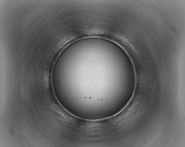 X0000111601217200907231228