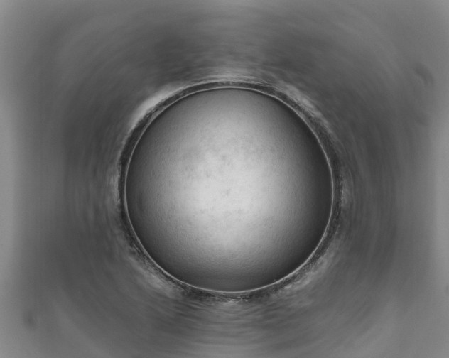 X0000111601222200907231229