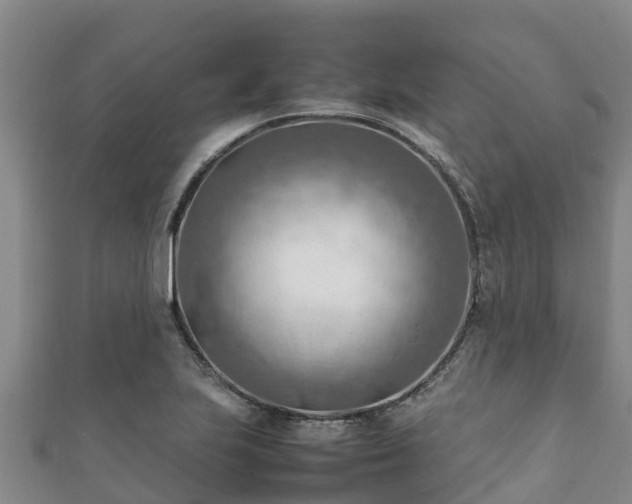 X0000111601223200907231229