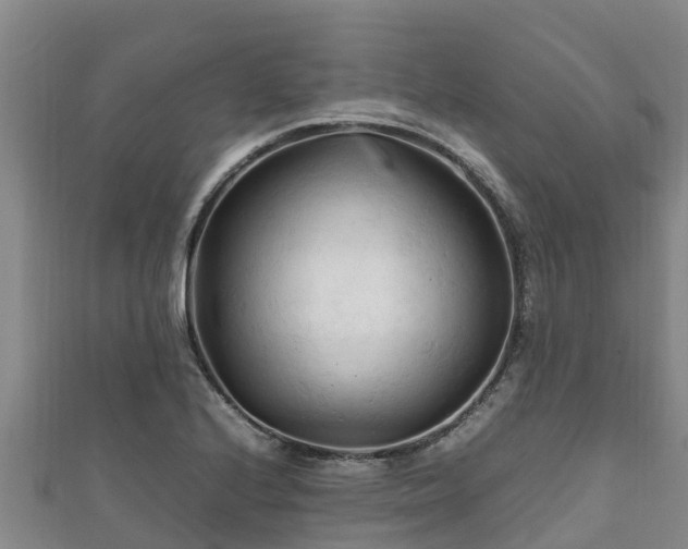 X0000111601224200907231229
