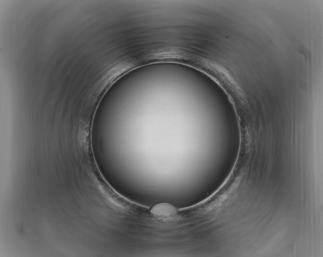 X0000111601225200907231229