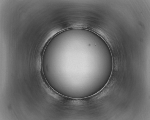 X0000111601227200907231229