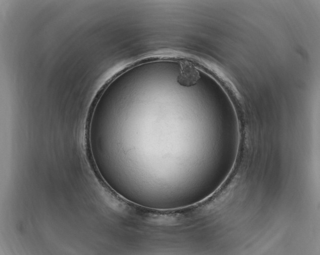 X0000111601229200907231229