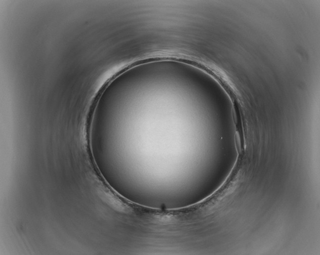 X0000111601230200907231229