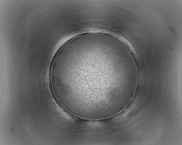 X0000111601231200907231229