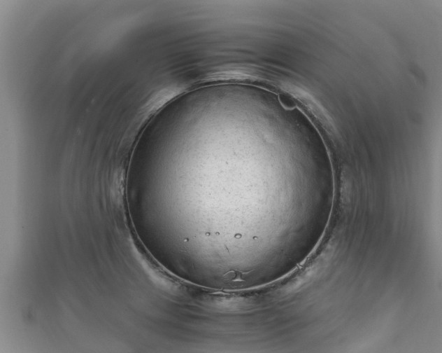 X0000111601233200907231229