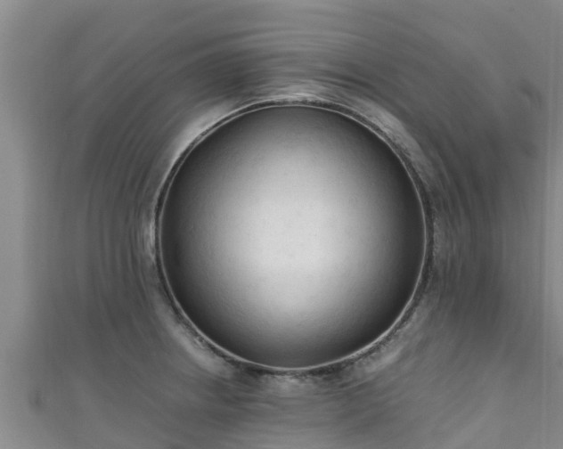 X0000111601234200907231229