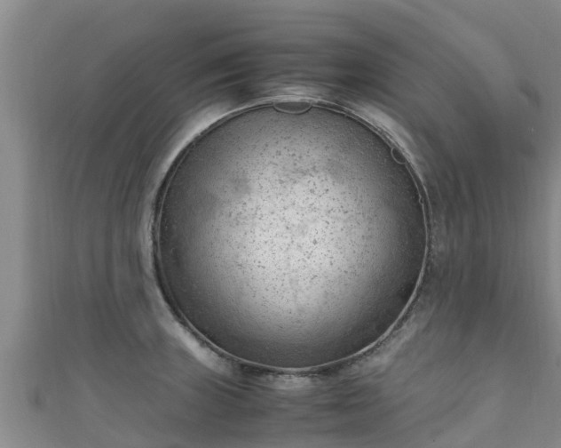 X0000111601235200907231229