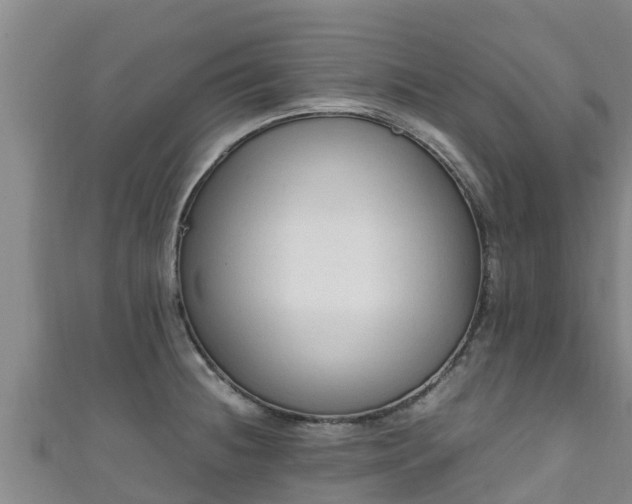 X0000111601236200907231229