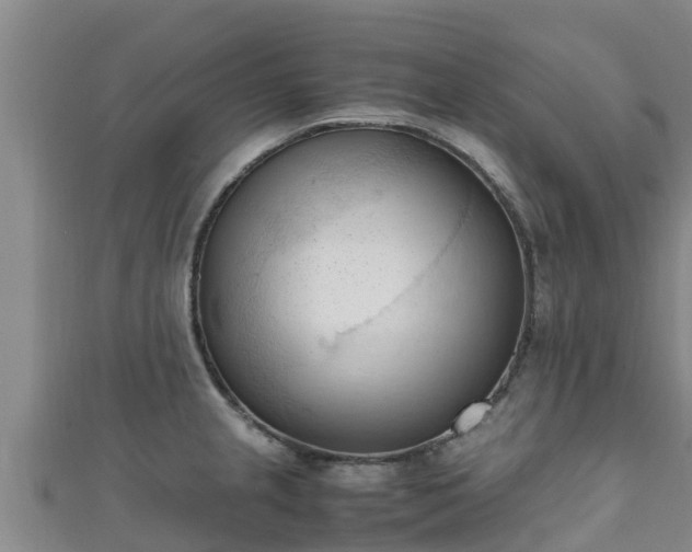 X0000111601237200907231229