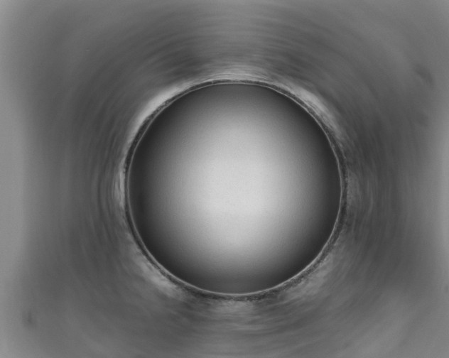 X0000111601238200907231229