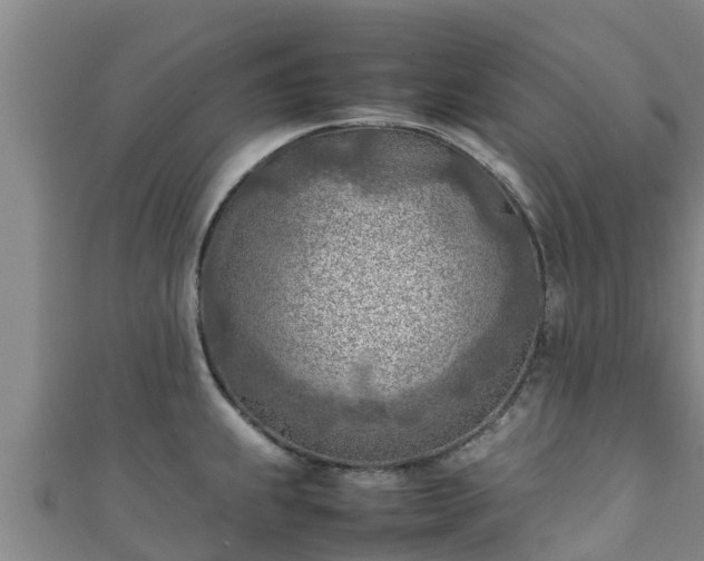X0000111601239200907231229