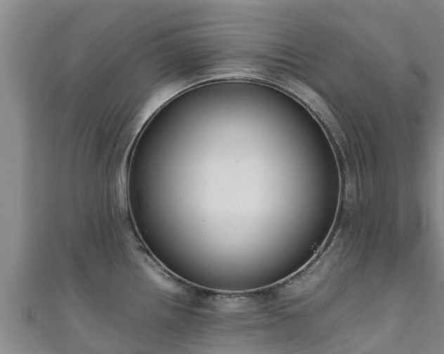 X0000111601242200907231229