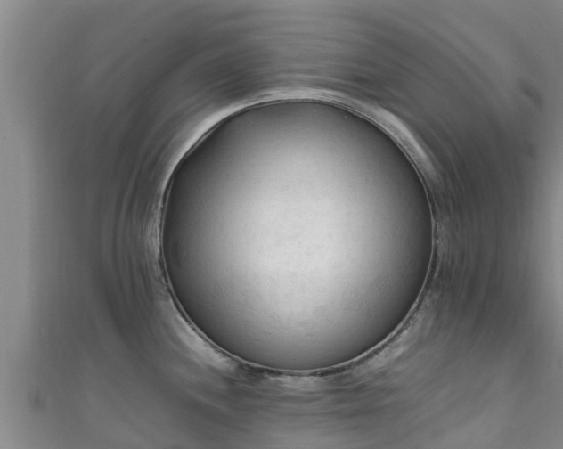 X0000111601244200907231229