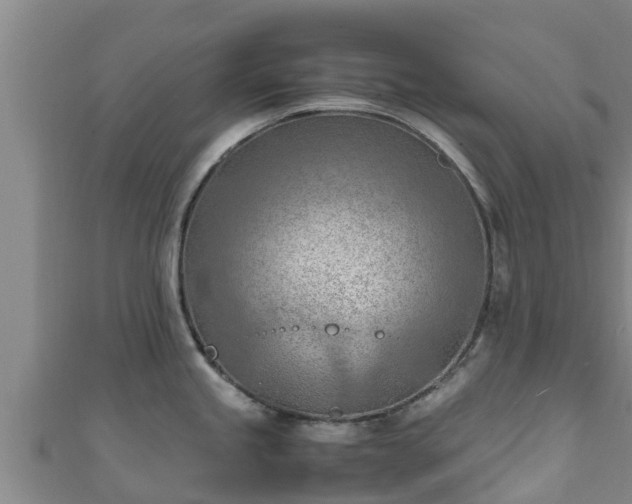 X0000111601245200907231229