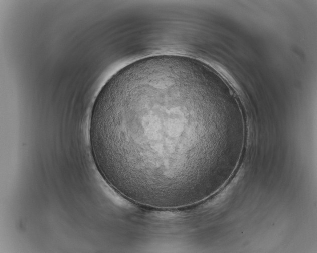 X0000111601246200907231229