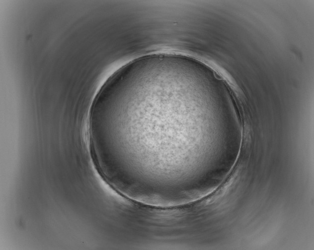X0000111601247200907231229