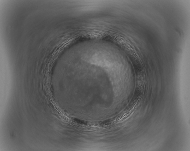 X0000111601249200907231228
