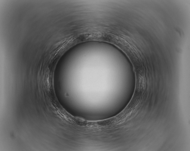 X0000111601250200907231228