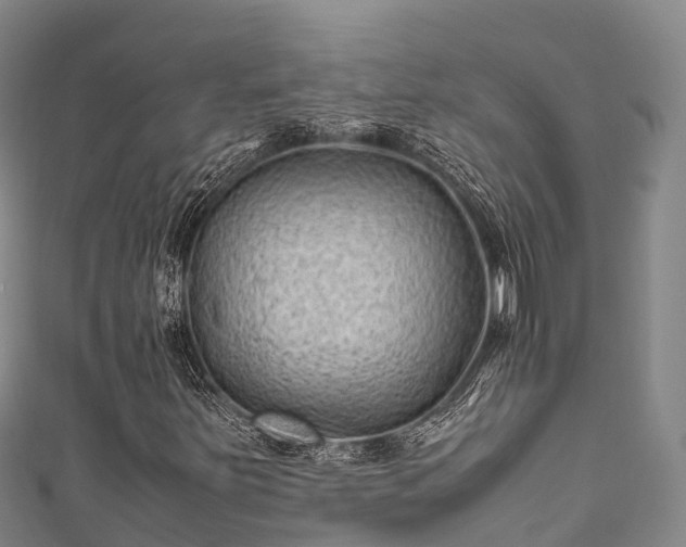 X0000111601251200907231228