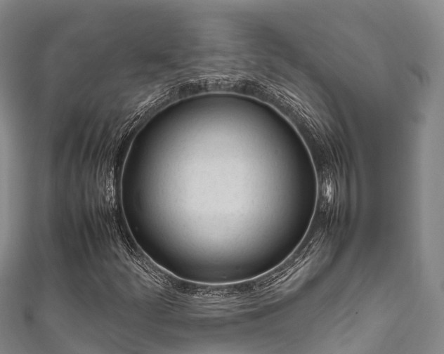 X0000111601252200907231228