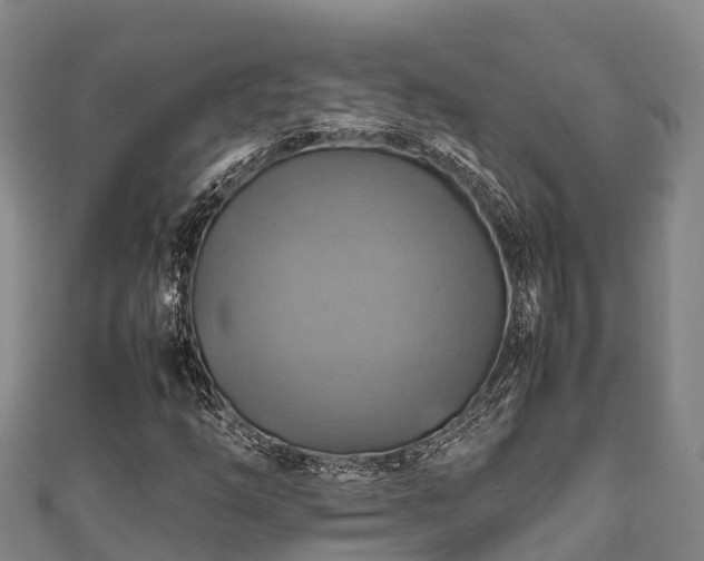 X0000111601254200907231228