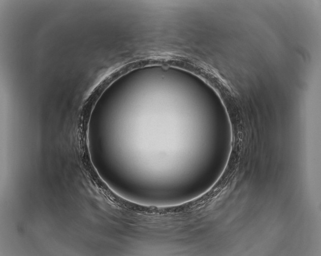X0000111601256200907231228