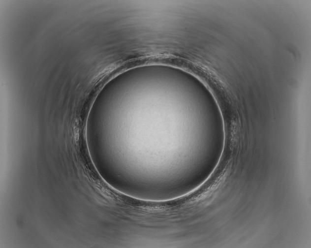 X0000111601257200907231228