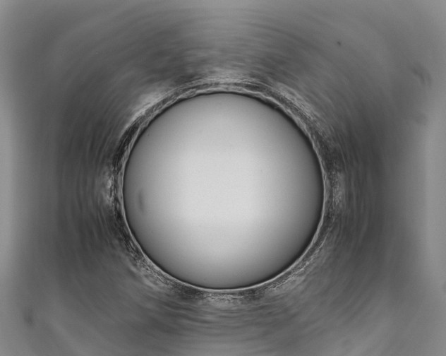X0000111601258200907231228