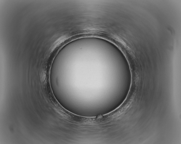 X0000111601259200907231228