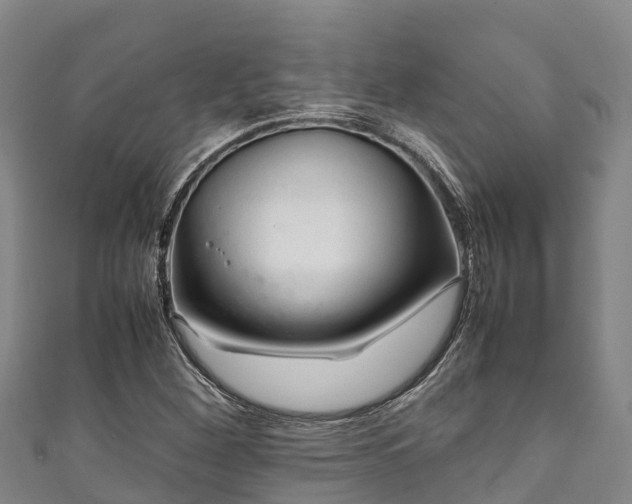 X0000111601260200907231228