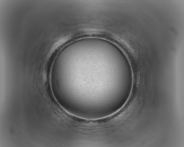 X0000111601261200907231228