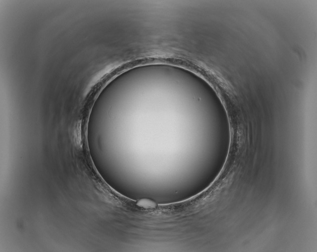 X0000111601262200907231228