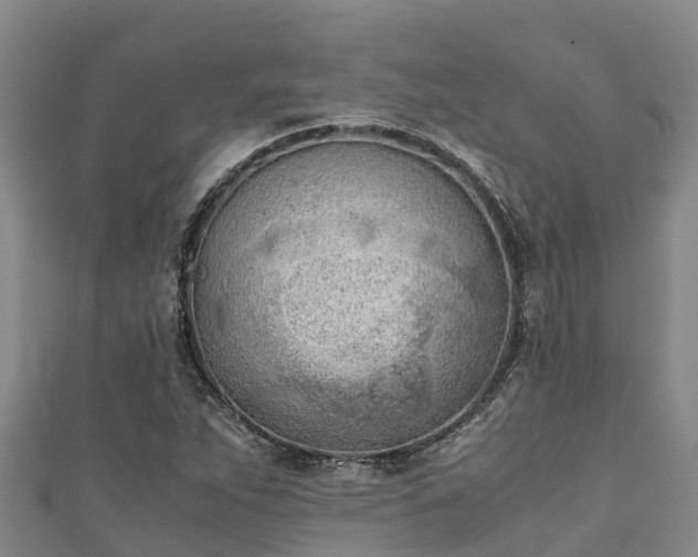 X0000111601263200907231228