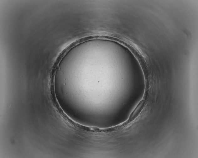 X0000111601264200907231228