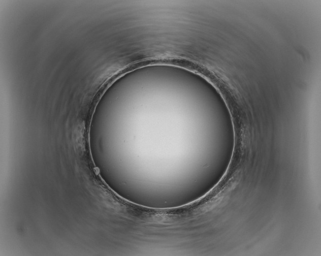 X0000111601265200907231228