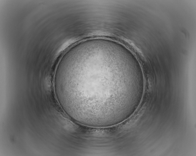 X0000111601266200907231228