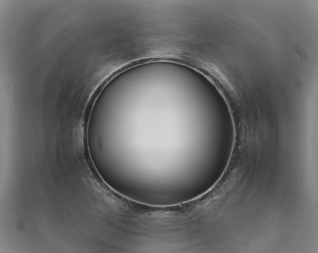 X0000111601268200907231228