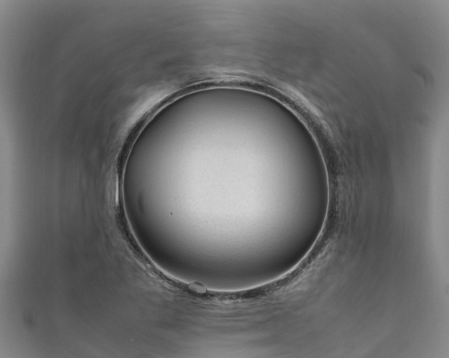 X0000111601269200907231228